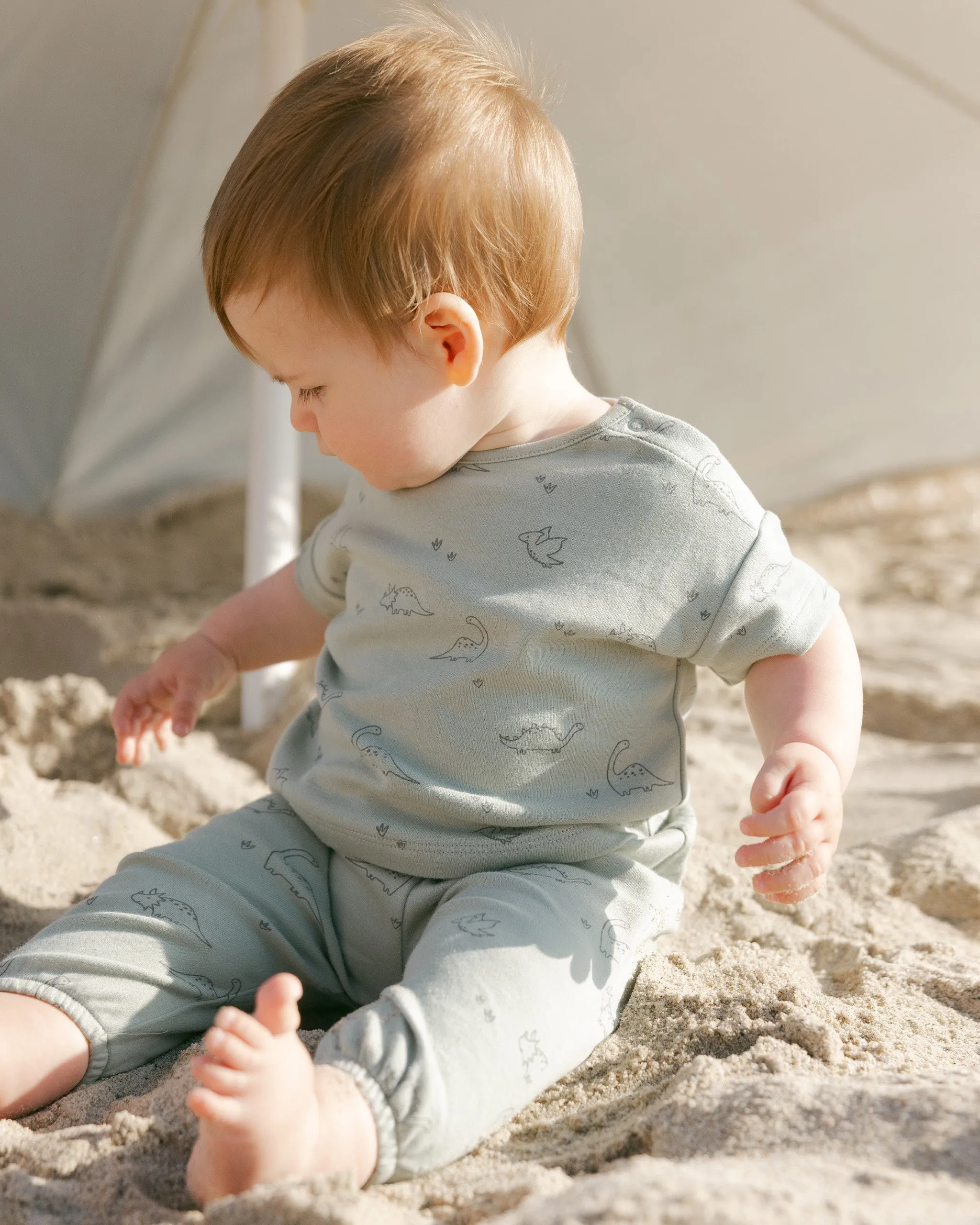Jersey Dino Pant Set