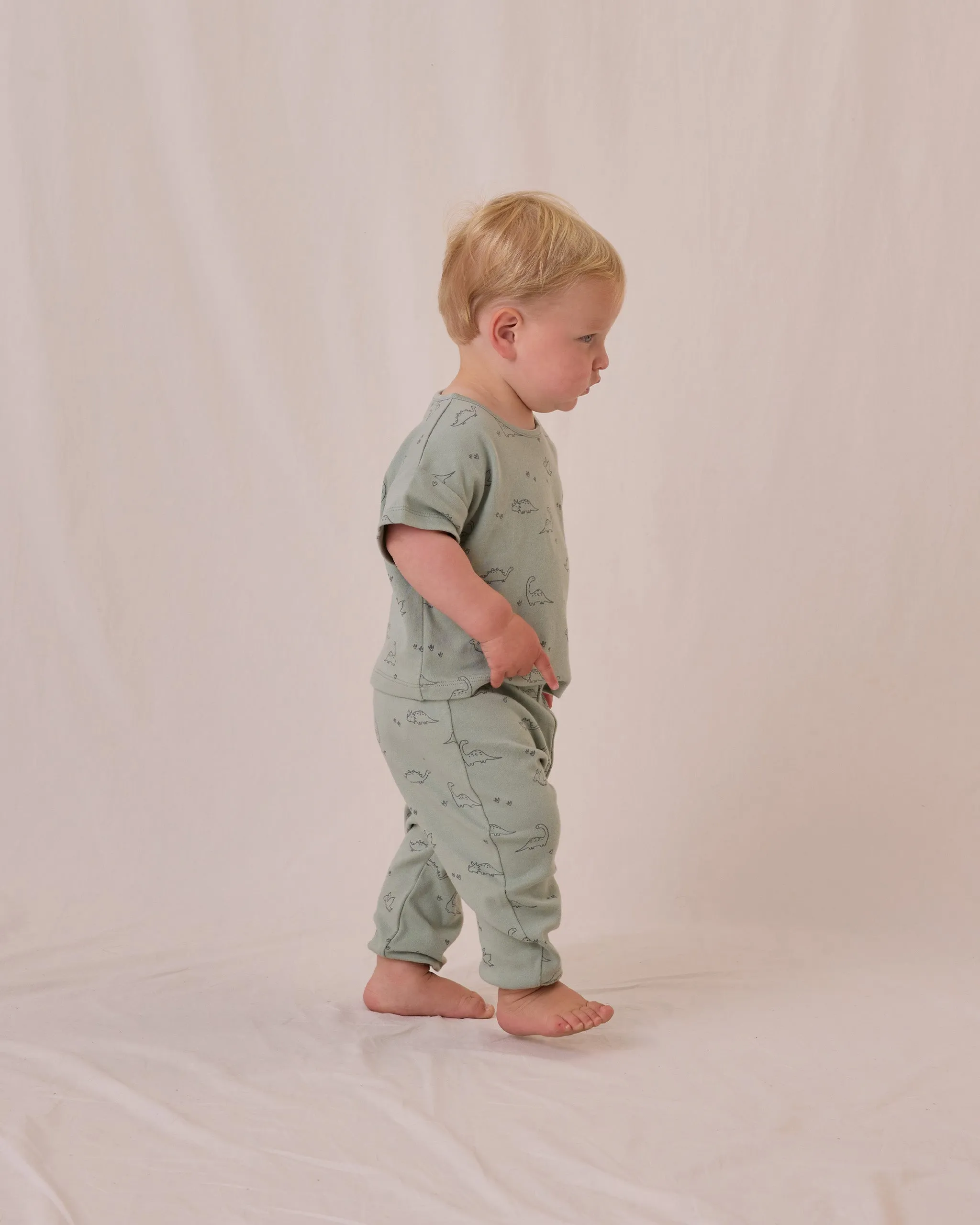 Jersey Dino Pant Set