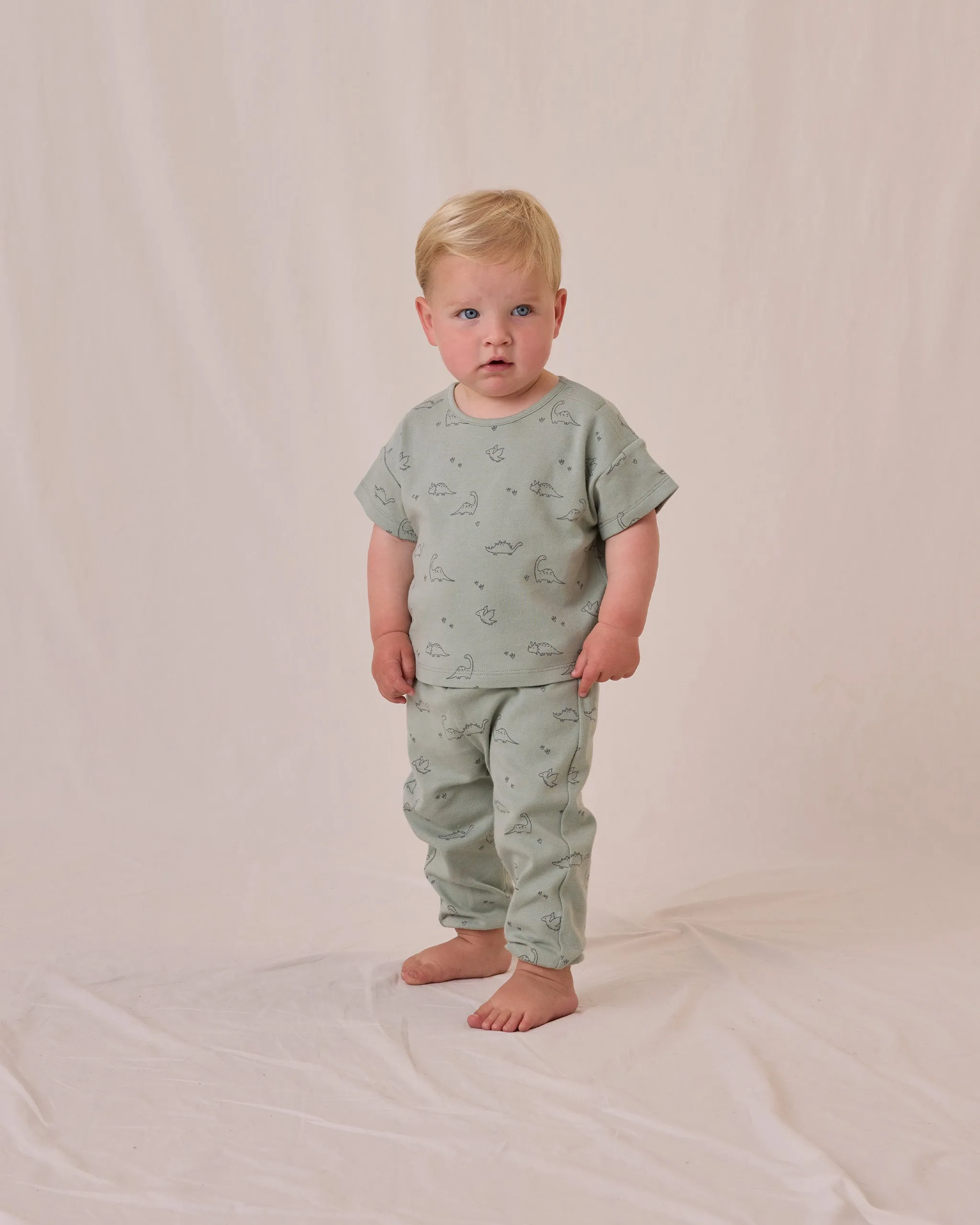 Jersey Dino Pant Set