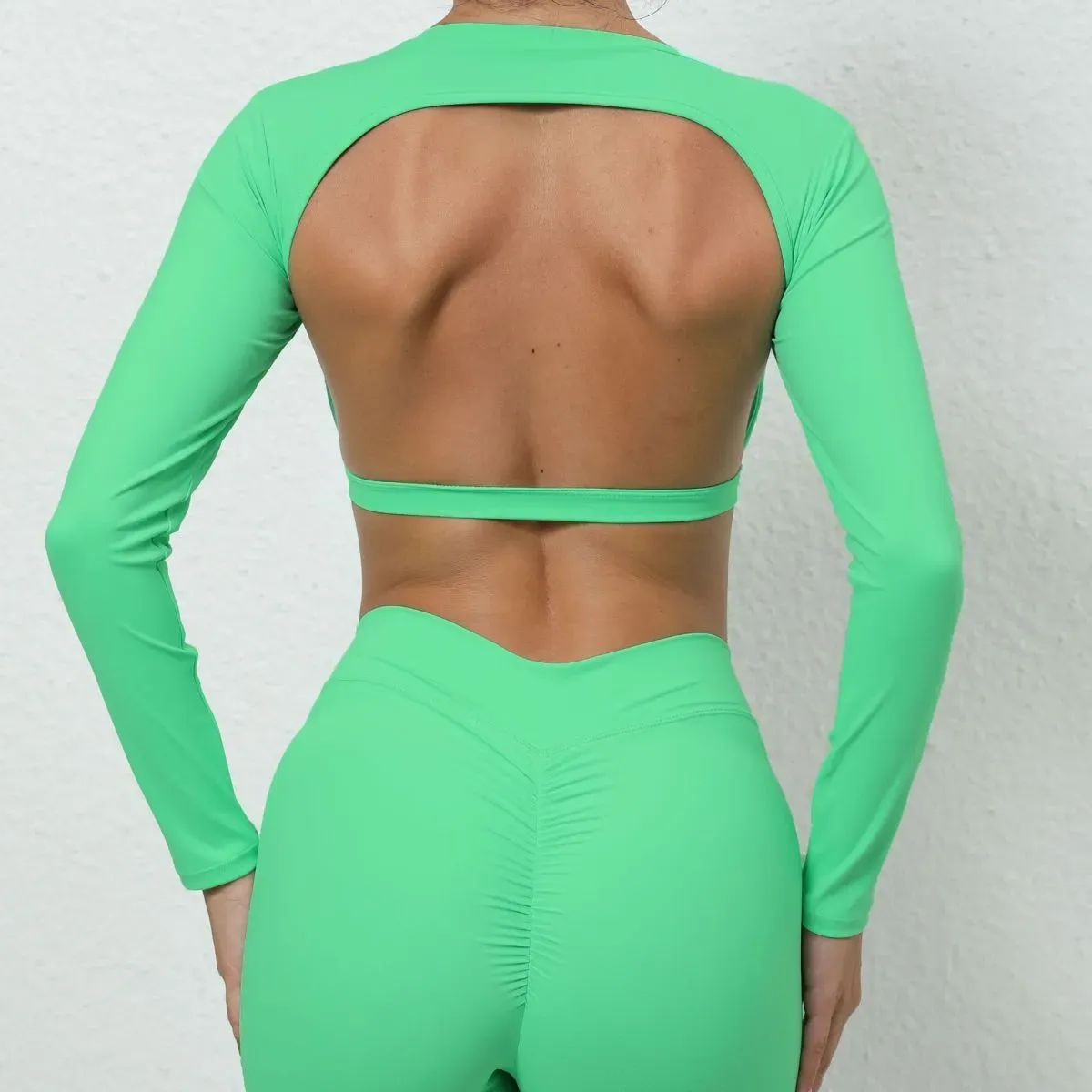 Kacy Long Sleeve Open Back Crop Top