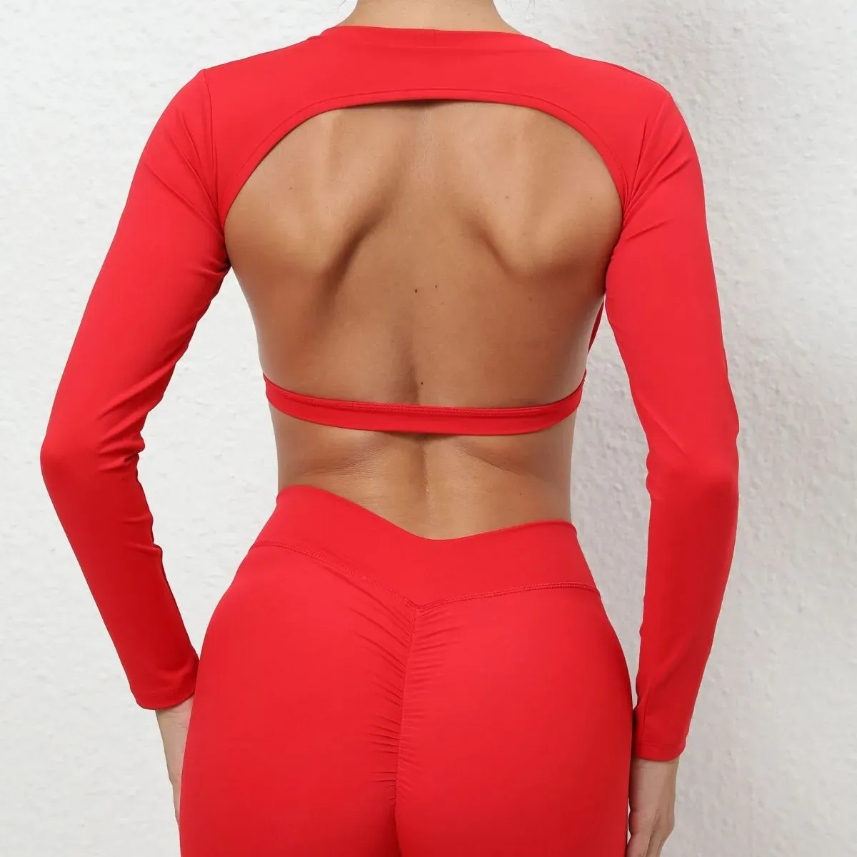 Kacy Long Sleeve Open Back Crop Top
