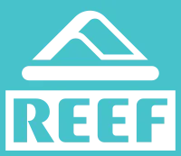 REEF Ladies Cushion Vista Perf Slide Black