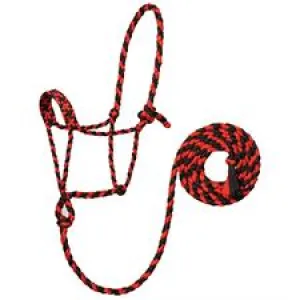 TK35-7820-Average-Rd/Blk Halter Braided Rope w/Lead